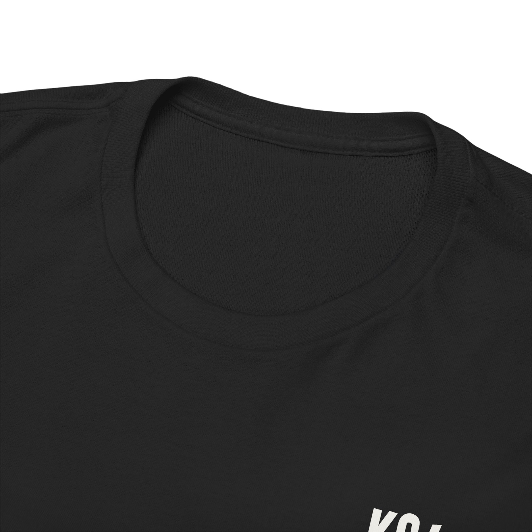 Koi Fan Graphic Tee — Nishikigoi Koi Fish Japanese Design